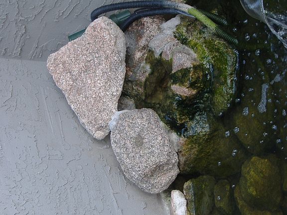 Front Waterfall and Pond