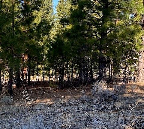 3rd image of 47 Blue Grouse Ln