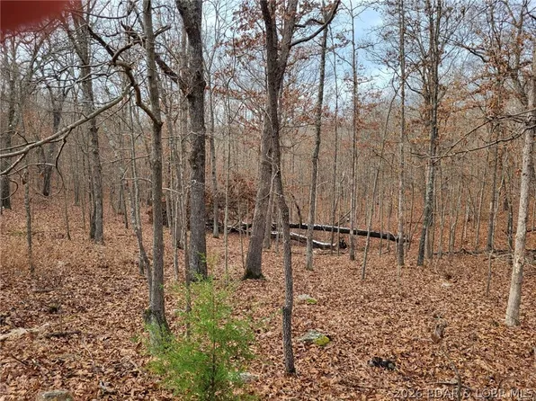 Dunn Dr #1331, Edwards, MO 65326