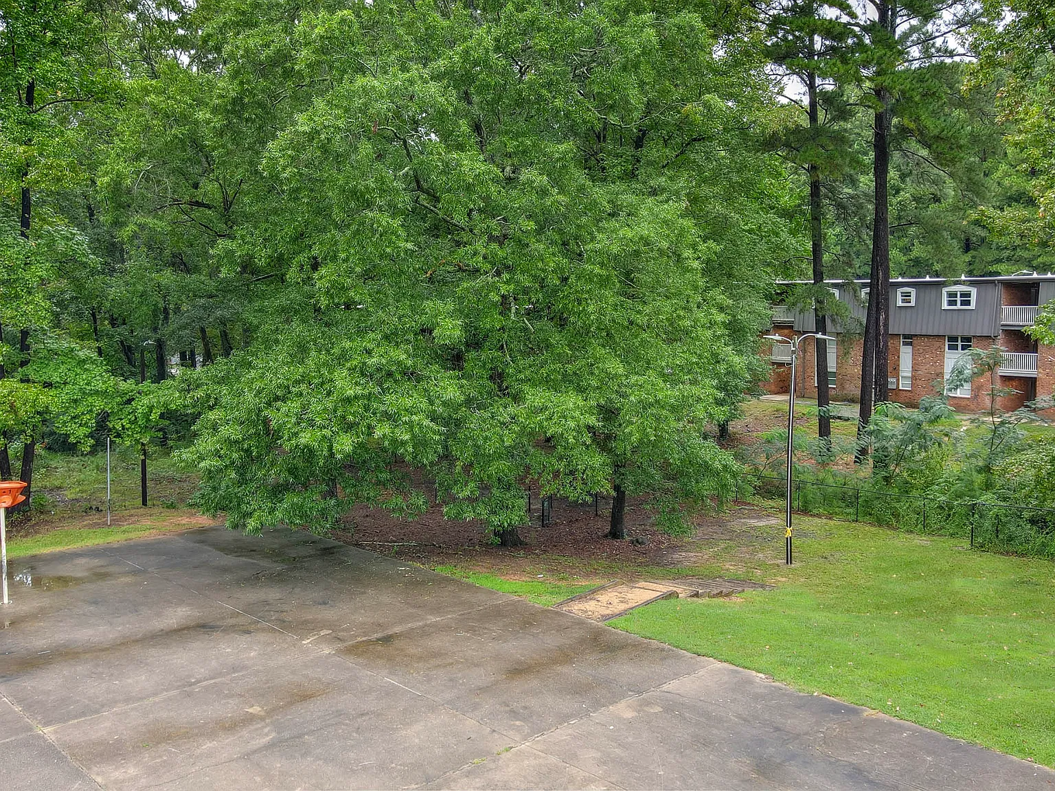 Arbors at Cary — Photo 3