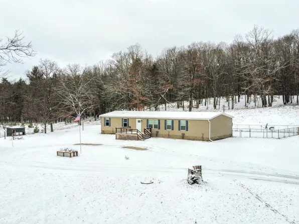 10249 S Wright St, Reed City, MI 49677