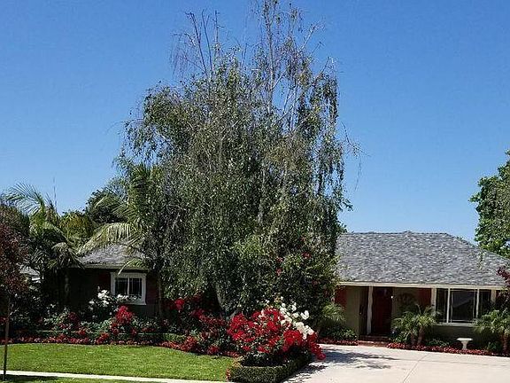 2nd image of 885 Boxthorn Ave