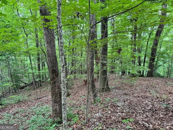 0 Black Bear Den Rd, Clayton, GA 30525