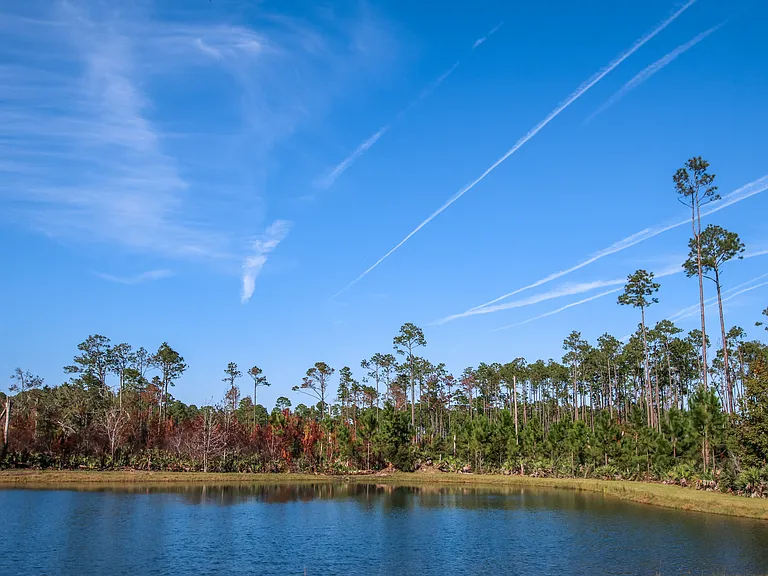 Settlers Landing Dr — Photo 43