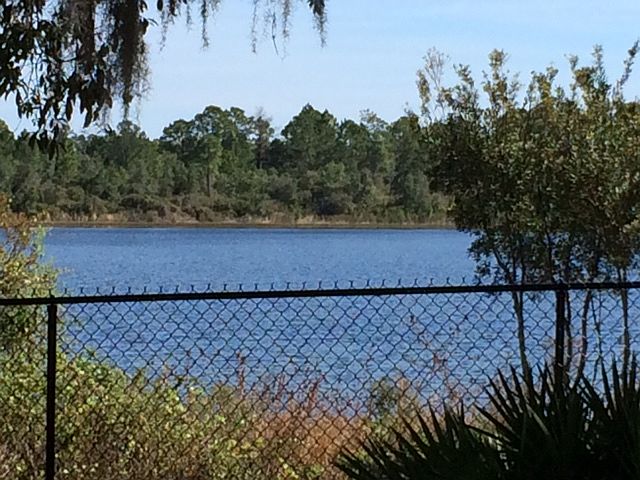 From across the lake