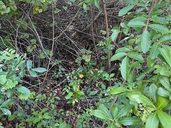 5th image of 0 Unassigned Rd