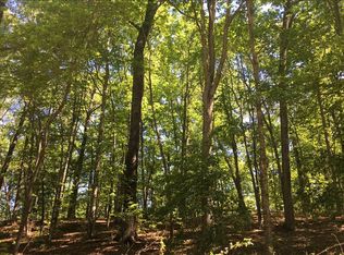 LOT 30 Creekmont Xing LOT 30, Mineral Bluff, GA 30559