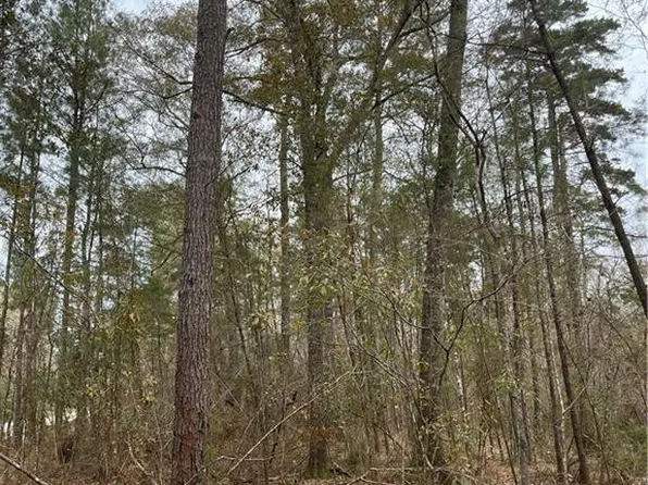 Highway #1036, Holden, LA 70744