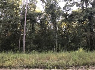 NW Stephens Ln, Mayo, FL 32066