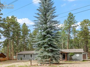450 County Rd, Woodland Park, CO 80863