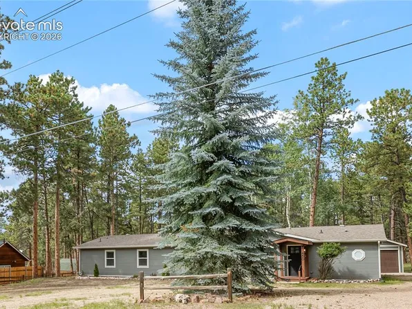 450 County Rd, Woodland Park, CO 80863