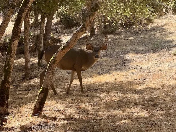 10789 Harbor Rd Lot 7, Kelseyville, CA 95451