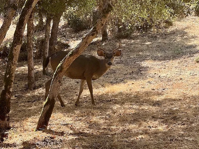 10789 Harbor Rd Lot 7 photo 1