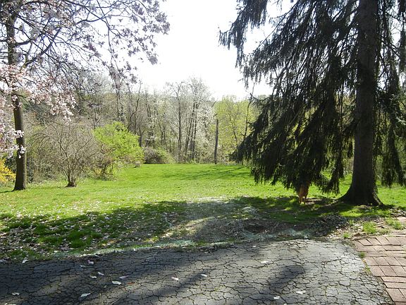 Large private back yard