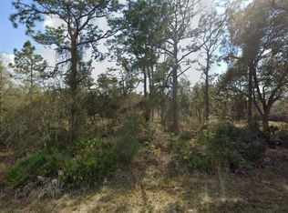 9446 Rousseau St #13, Webster, FL 33597