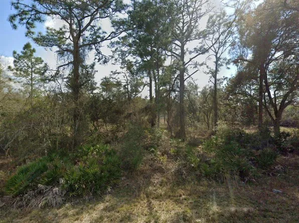 9446 Rousseau St #13, Webster, FL 33597