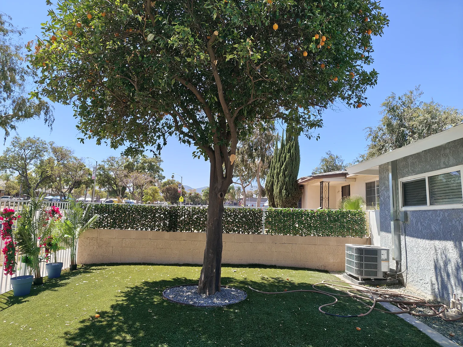 2 bed, 1000 sqft, $2,550 — Photo 3