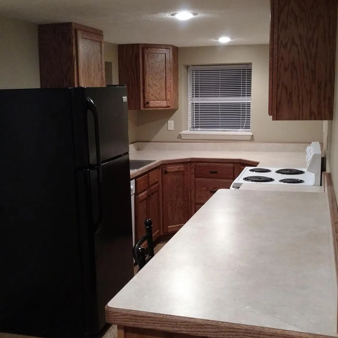 1 bed, $800 — Photo 4