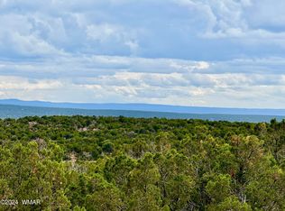 2736 Rebel Yell Rd, White Mountain Lake, AZ 85912