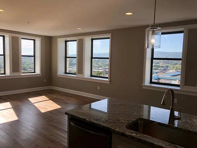 108 N Washington Ave #1003 — Photo 7