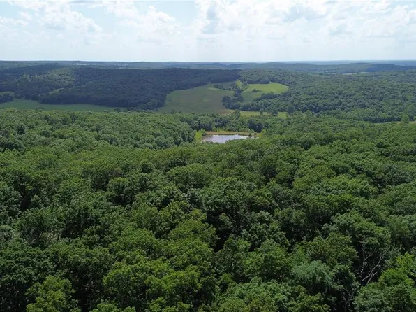 8 Anthonies Mill Est, Bourbon, MO 65441