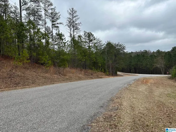 Lake Rd Tract 12, Odenville, AL 35120