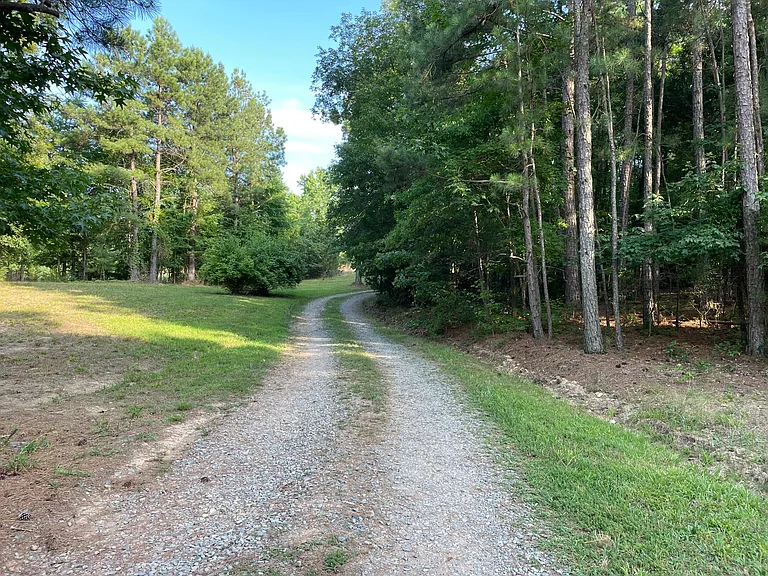 1/2 mile driveway into nature