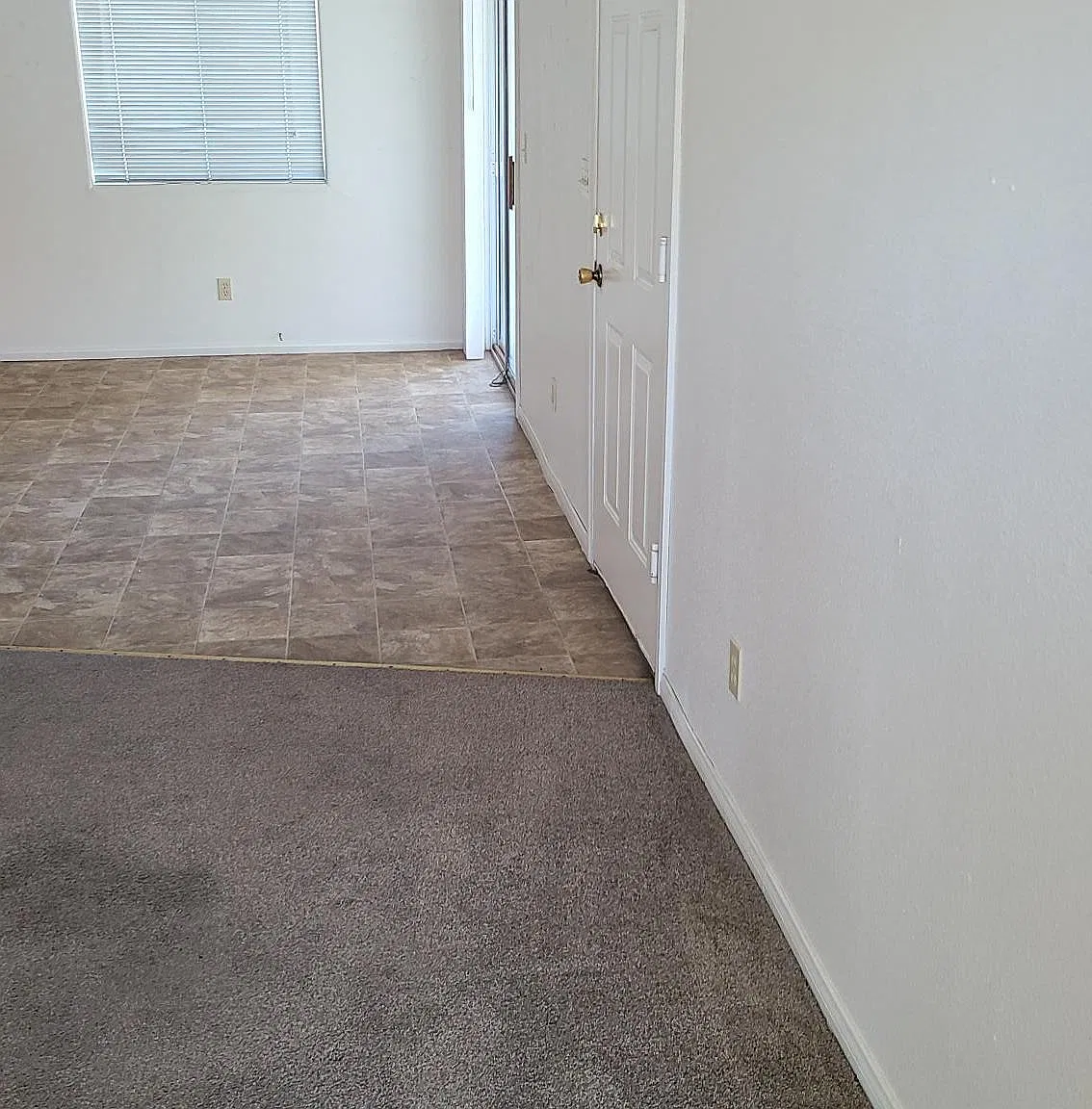 dining/living area