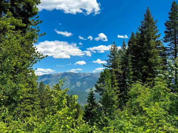 Hillman Basin Rd, New Meadows, ID 83654