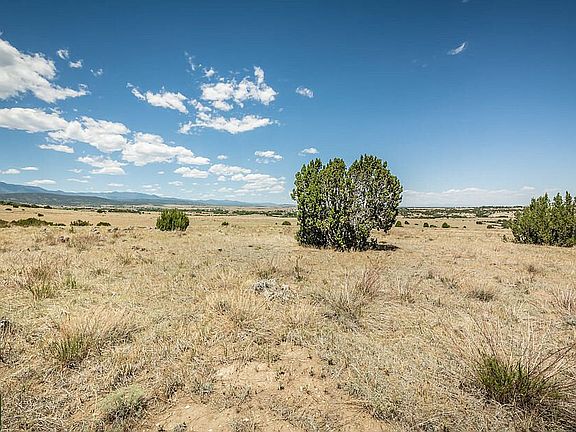 5th image of LOT 189 County Road 328