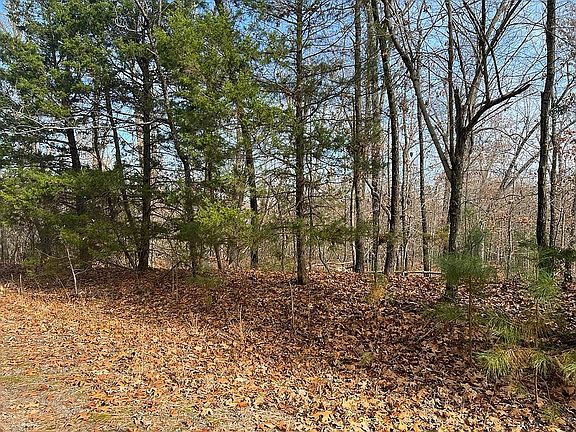 2nd image of 400 Dogwood Dr