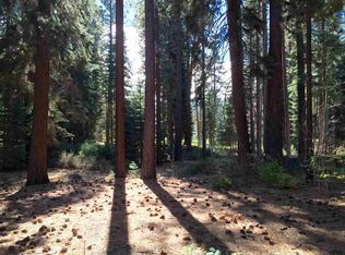 117 Pray Meadow Rd, Glenbrook, NV 89413