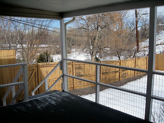 Winter view, birds, deer...