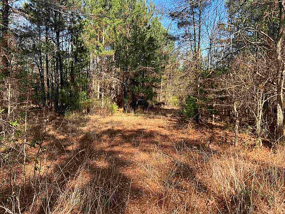 5th image of County Road 331