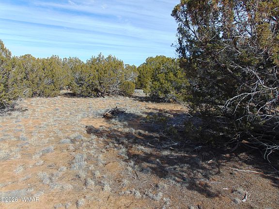 5th image of 49 County Rd