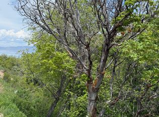 1517 S Mahogany Dr, Garden City, UT 84028