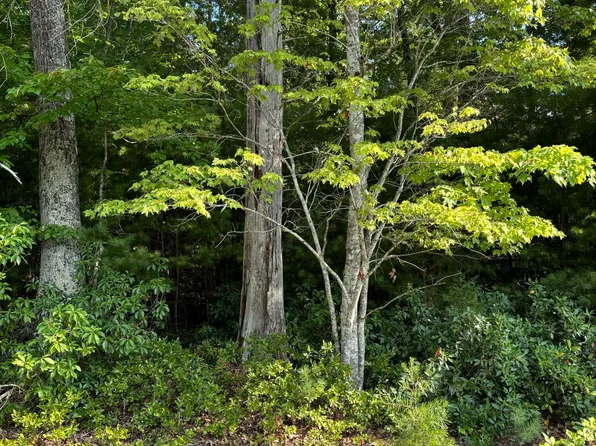 4 White Oak Rd, Boones Mill, VA 24065