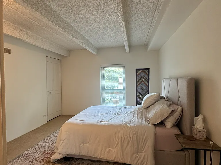 130 N Pearl St #307 — Photo 8