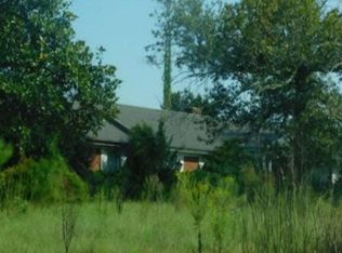 13442 Highway 45, Arlington, GA 39813