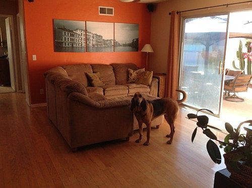 3rd image of 8545 Carlton Oaks Dr