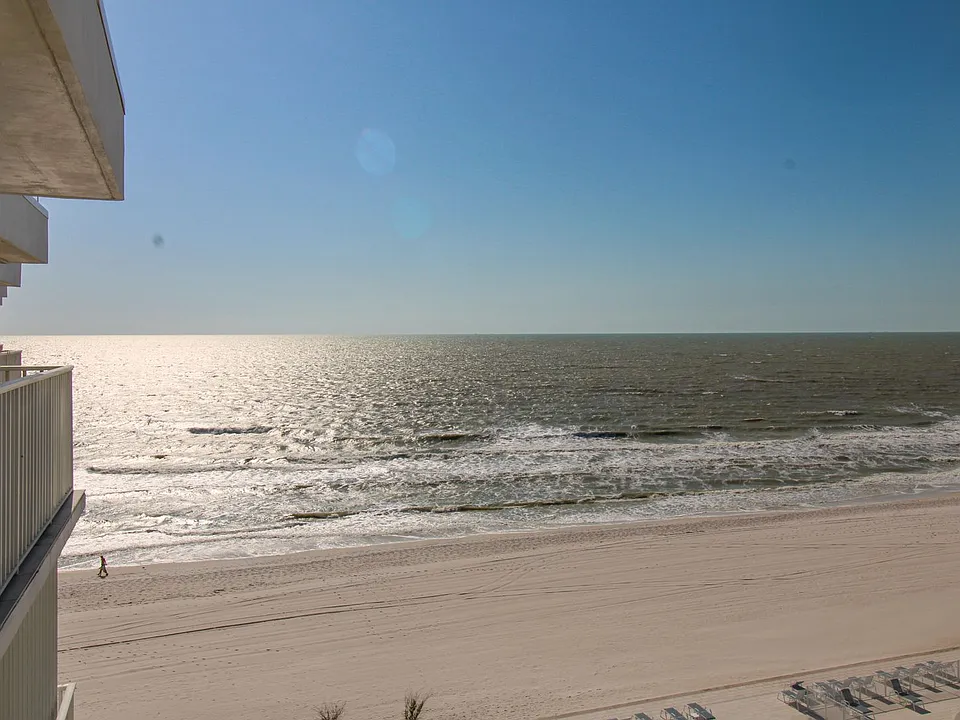 3443 Gulf Shore Blvd N #213