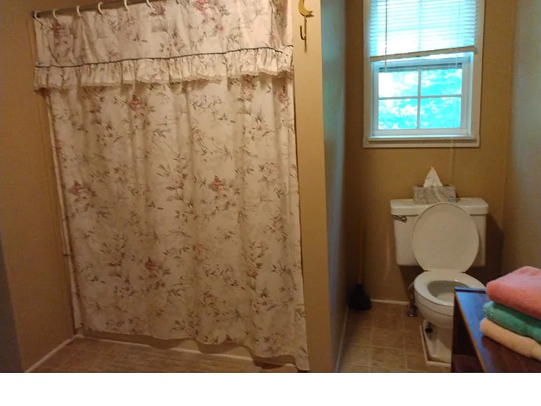 2155 Snow Lake Dr — Photo 12
