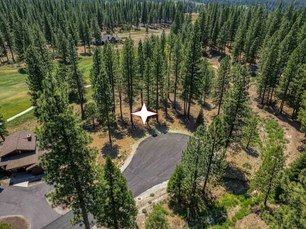 1009 Prospector Dr, Clio, CA 96106