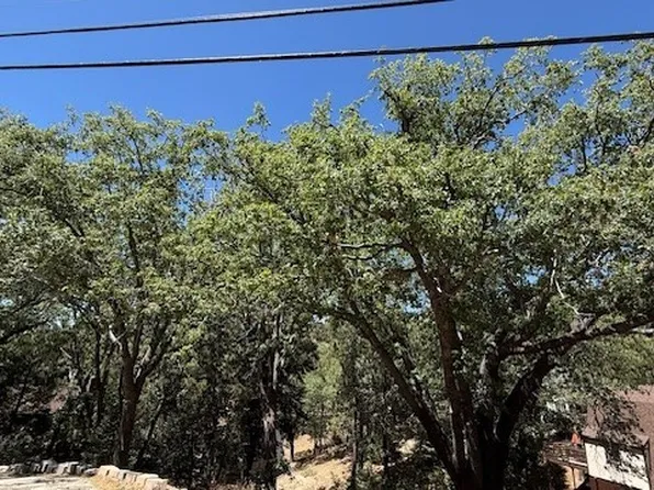 736 Dahlia Dr, Green Valley Lake, CA 92341