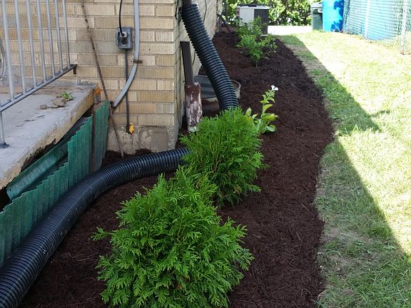 new landscaping