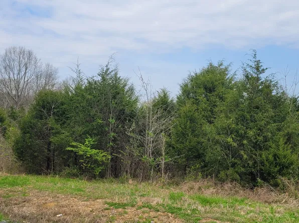 1 Whiteside Hill Rd Lot 1, Shelbyville, TN 37160