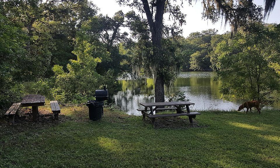 Community pond
