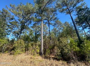 0 River Rd, Sneads, FL 32460