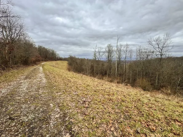 0 Jug Run Rd, Alma, WV 26320