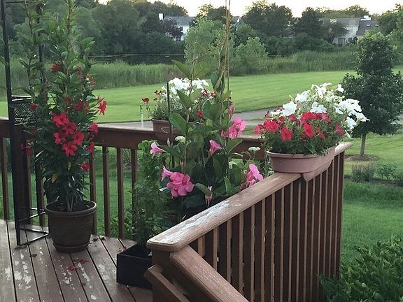 Yard/Garden